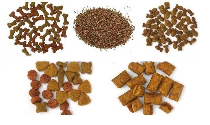 Hot Export small extruder pet feed machine processing line