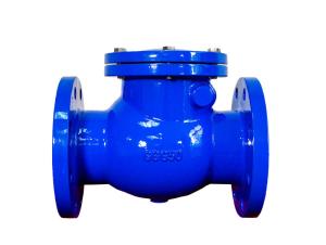 China DN50-300 Cast Iron Industrial Check Valve For Water Pump JIS B2212 wholesale