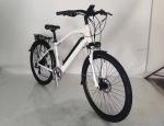 29 Inch E Mountain Bike Rear Hub Motor Black 36v 300w 15Ah Rich Bit Top 880