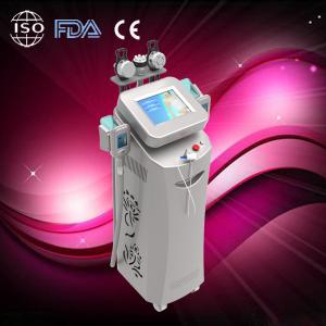 China Fat freezing!Newest cryolipolysis figure slimming beauty equipment in promotion wholesale