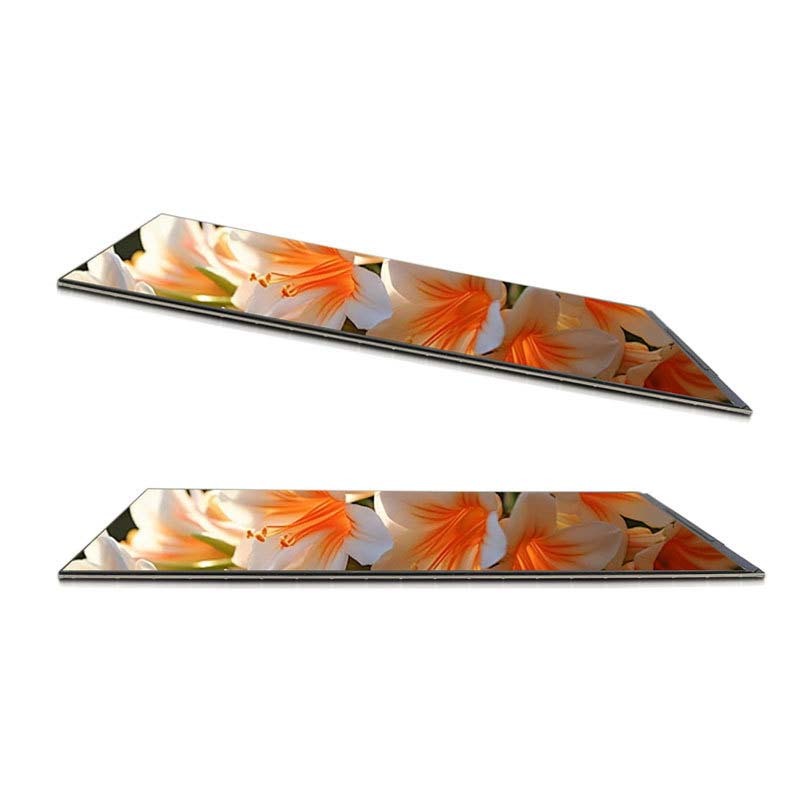 6 Inch FHD TFT Display High resolution Tft Display 720X1440 Dots 31 PINS MIPI Interface 450C/D driving IC ST7703