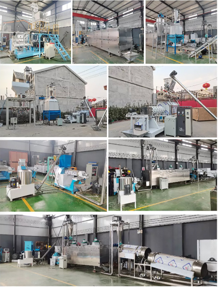 5.5kw Animal Feed Pellet Production Line Floating Fish Poultry Feed Production Line