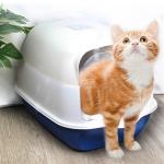 PP Small Covered Kitty Litter Box Tray 51*41*38cm Green Pink