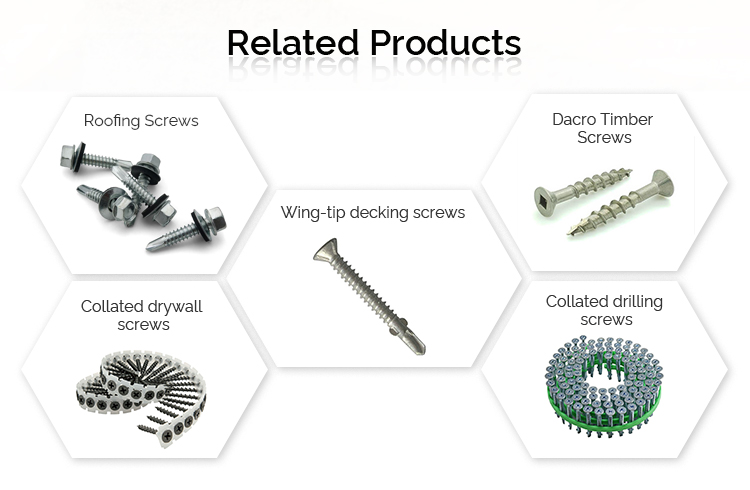 Stainless Steel T17 Galvanised C3 Bugle Batten Screws