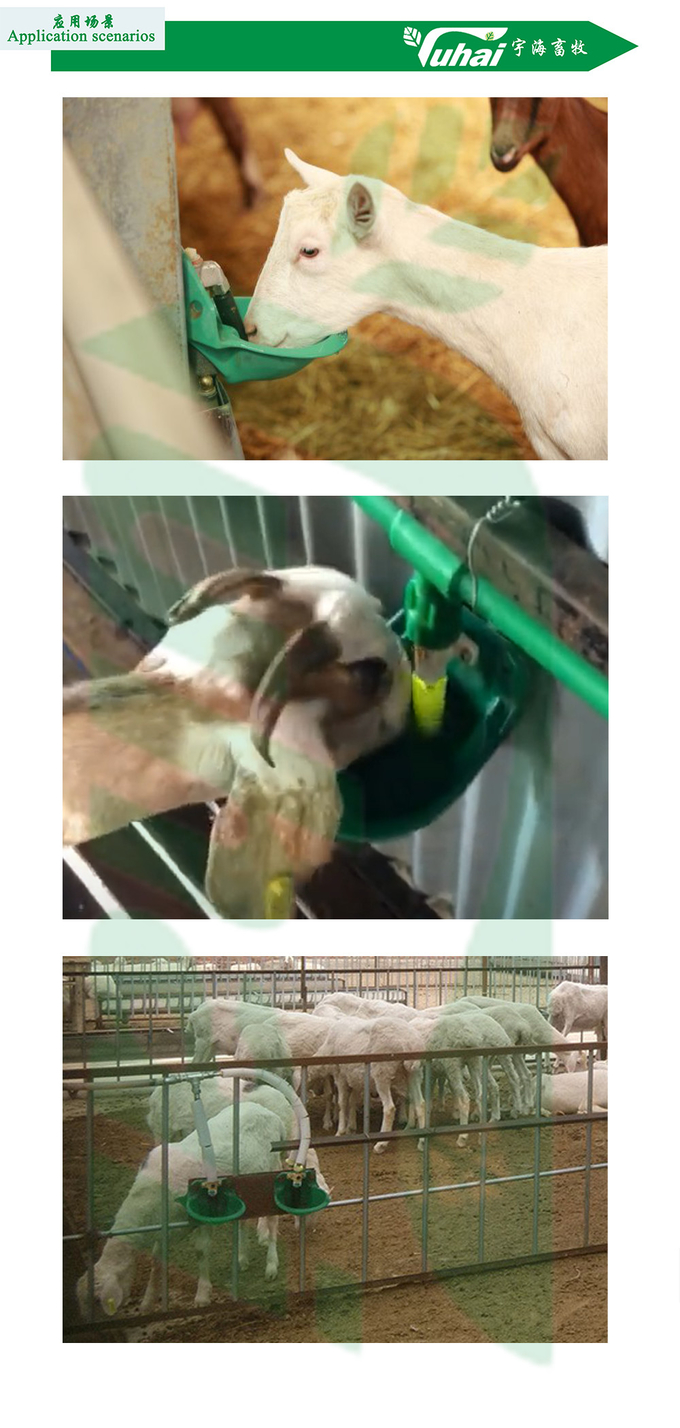 0.9l Livestock Water Bowl Farm Machinery Equipment Plastic Cattle Water Trough/Goat Feeder