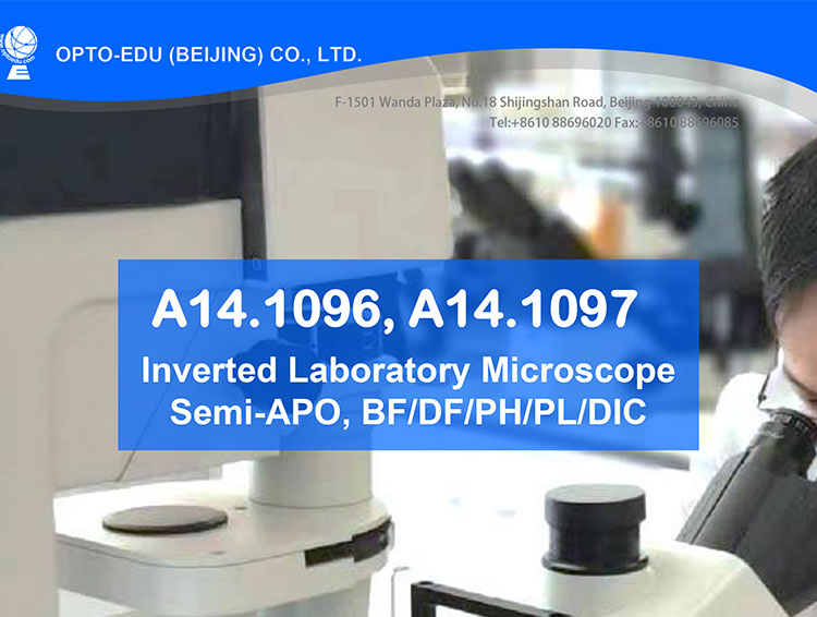 OPTO EDU A14.1097 SW10x Inverted Biological Microscope SW10x/22mm
