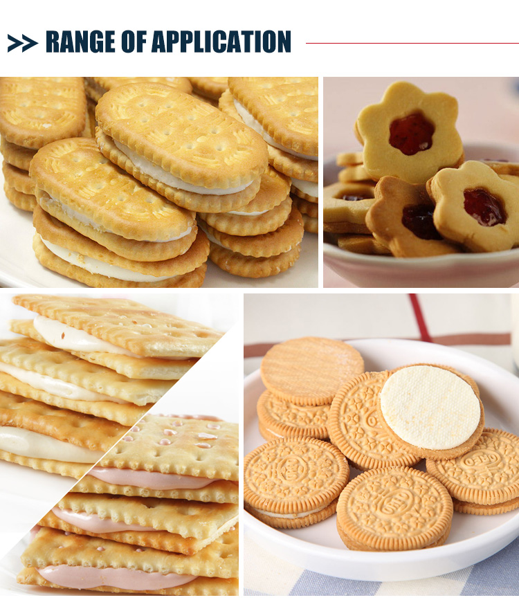 Food Grade Custom Biscuit Automatic Conveyor Sorting System For Food Industry