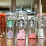 Double Wall Acrylic Sublimation Glass Snow Globe Tumbler 24oz
