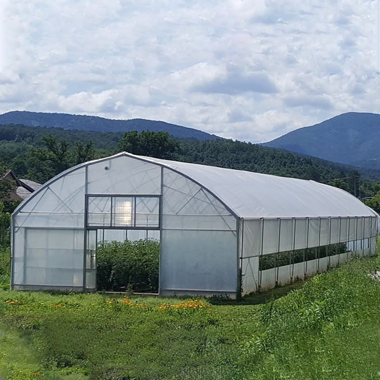 Agricultural Plastic Tunnel Greenhouse Hoop Greenhouse For Growing Vegetable