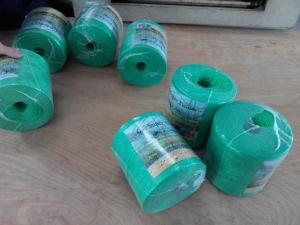 China Greenhouse Tomato Banana Twine , PP Multi Span Agricultural Twine wholesale