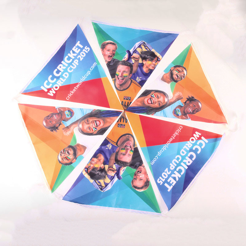 Custom Logo Polyester LGBT Flag Lesbian Gay Pride Triangle Flag