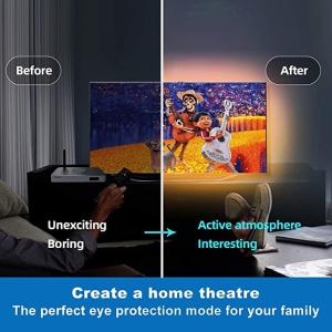 China DC 24V Smart LED Strip Lights Remote Color Changing For Room Kitchen Bedroom Decoration wholesale