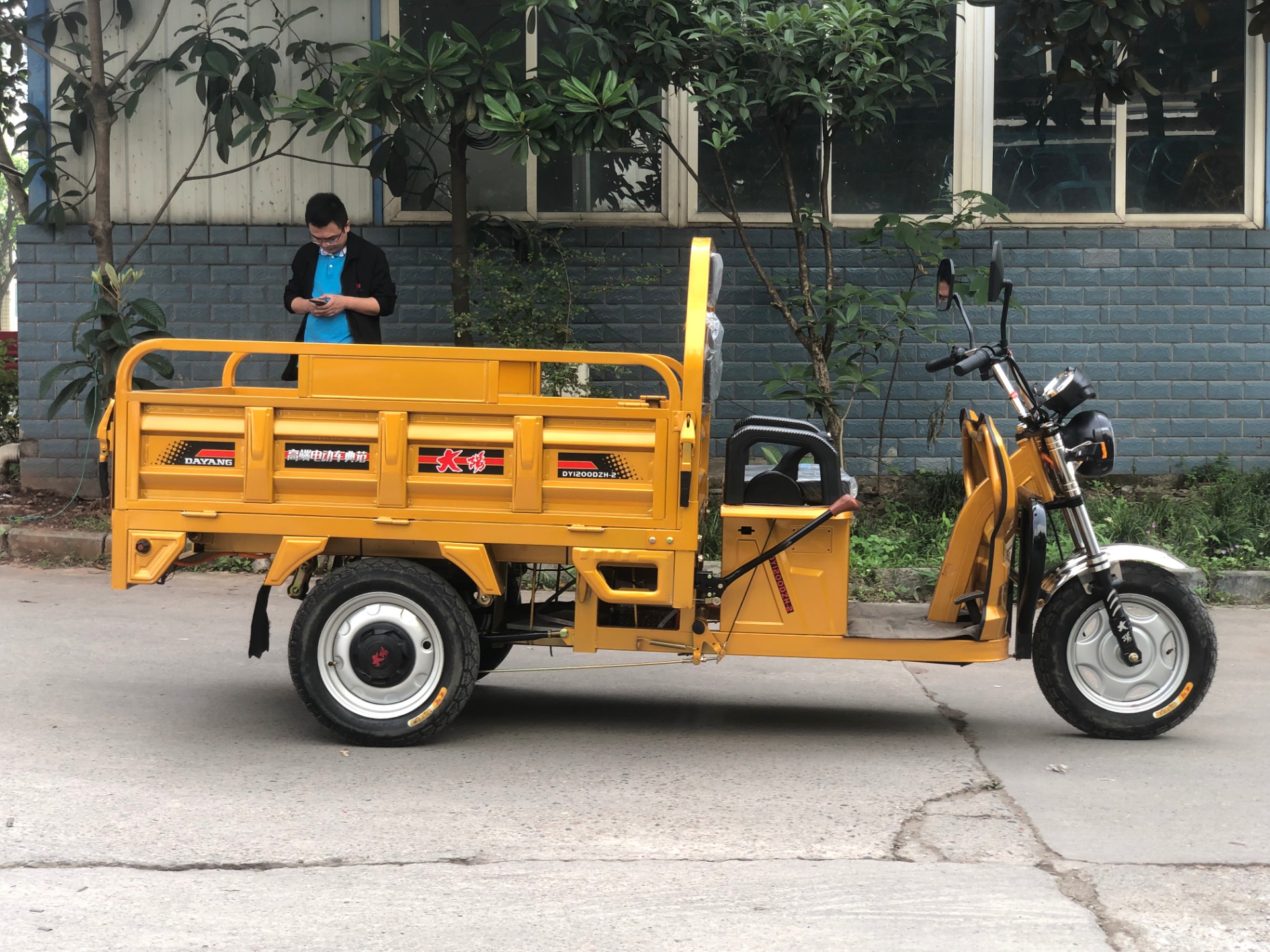 Customized Color Adults 3 Wheel Electric Tricycle with 72V Motor Power and 3.75-12 Tire