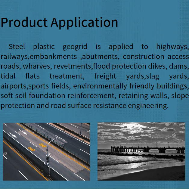 High Tensile Strength Steel Plastic Geogrid for Road and Railway Construction in Made