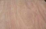 0.1-0.5mm Okoume Wood Veneer Rotary Peeled Veneer 1270mm*2500mm