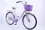 Steel Single Speed Adult 24 Inch City Bike