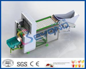 China Fruit Destoner Fruit Processing Equipment For Juice Manufacturing Plant wholesale