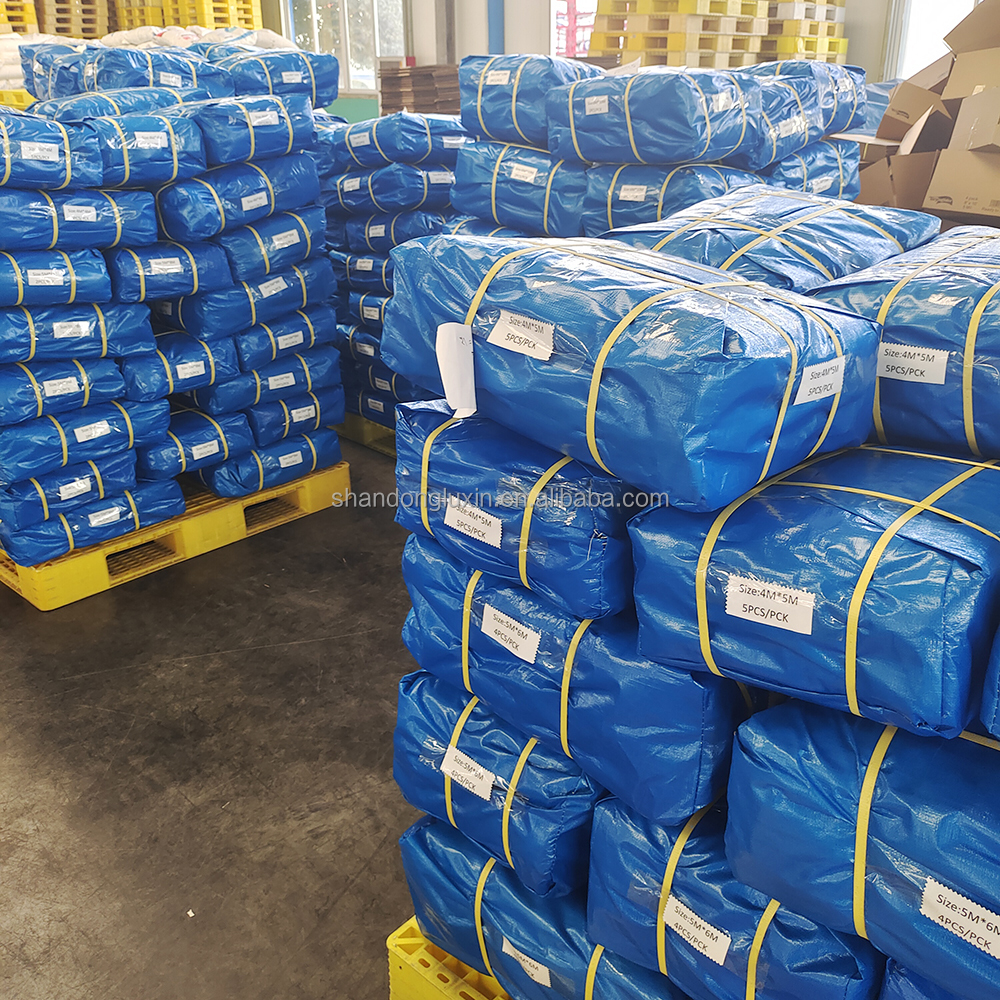 Coated PE Tarp Waterproof Light Weight Roof Cover Blue Polyethylene Tarpaulin Sheet PE