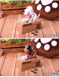 Kingda Dog Coin Bank Money Box 380g Battery Operated CE certificate