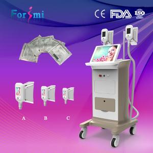 China High efficient cryolipolysis slimming machine wholesale