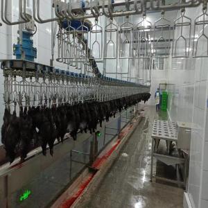 China 3400KG Halal Poultry Slaughterhouse Equipment Turkey Duck Broiler Chicken Processing wholesale