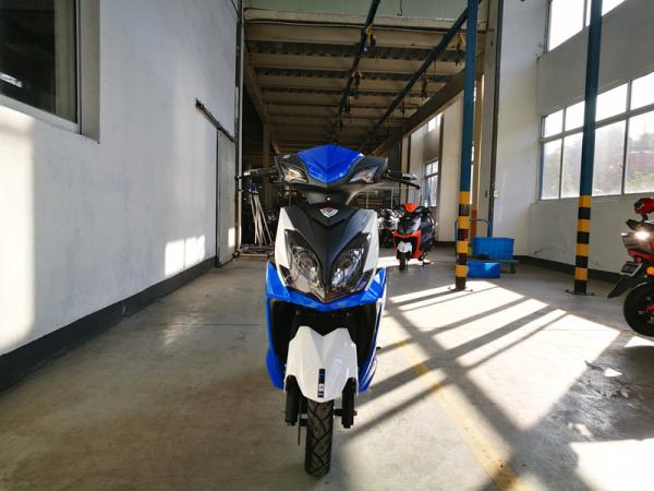 EEC Women And Men Multi Color Electric Road Scooter High Speed 50cc Electric