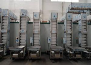 China Customized Dimensions ABS Material Bucket Conveyor for Conveying wholesale