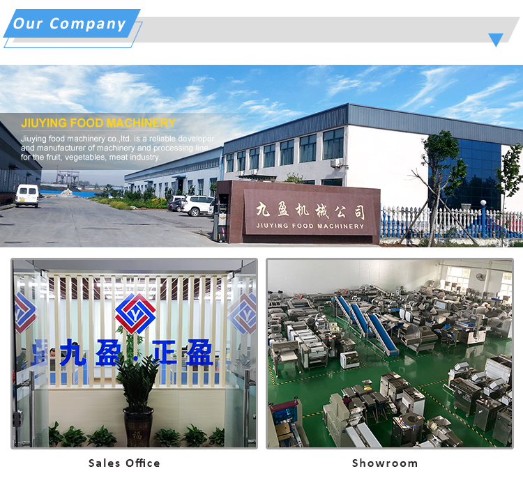 Jiuying 250L Single tank fruit and vegetable cleaning machine with full 304 stainless steel body