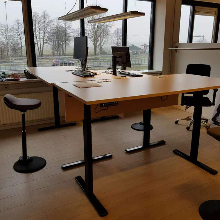 Electric Multifunction Dual Motor House Table Modern Nordic Study Desk for Children