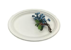 China 10 Inch 515ml Oil Resistance Biodegradable Sugarcane Bagasse Plates wholesale