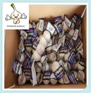 China Chinese Garlic Export Chinesse Pure white fresh garlics/Jinxiang garlic wholesale