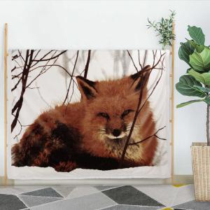 China OEM Super Soft Flannel Blanket 50*60 inch Digital Printing wholesale