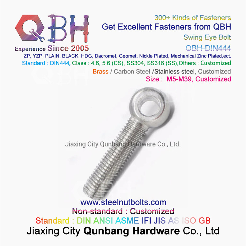 QBH DIN444 Stainless Steel SS304 SS316 SUS 304 316 Swing Eye Bolt Eye-Bolt