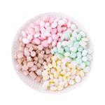 Berry Lozenge DIY Customized Mints Candy Flavoring Ingredients Included
