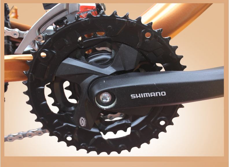 Gold 30 Speed 26x4.0 Inch Fat Wheel Mountain Bike