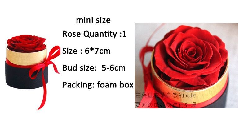 Valentines day gifts 2020 preserved roses Eternal Preserved Flower forever rose for san valentin decorations wedding fav
