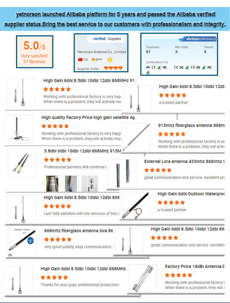 Customized 3dbi 6 dBi 8dBi 10 dBi High Gain Antenna LoRa 410-490Mhz 868Mhz 915 MHz