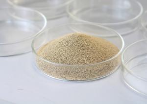 China Food Additives Immobilized Enzyme Main Enzymes 4000U/G wholesale