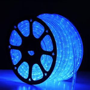 China 2 wire china manufacture wholesale waterproof holiday led rope light wholesale