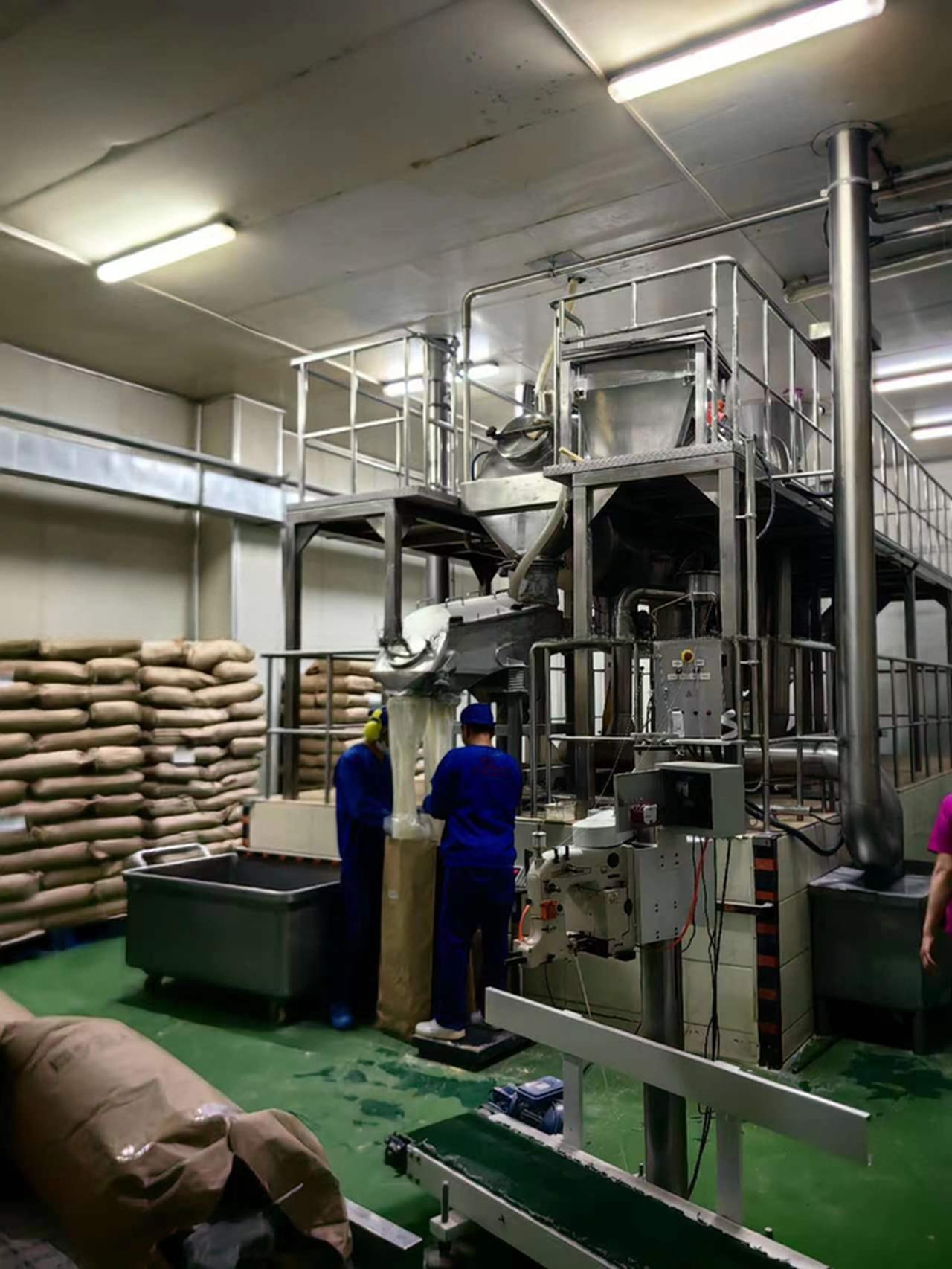 Standard Size Flavoured Camel Milk Powder Production Line with 2000 KG Output