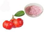 Vitamin C 17% 25% Acerola Cherry Natural Fruit Extract Powder