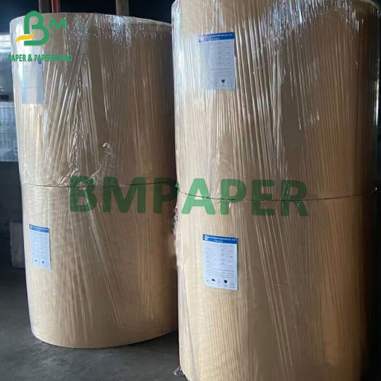 Sugarcane Fiber Paper