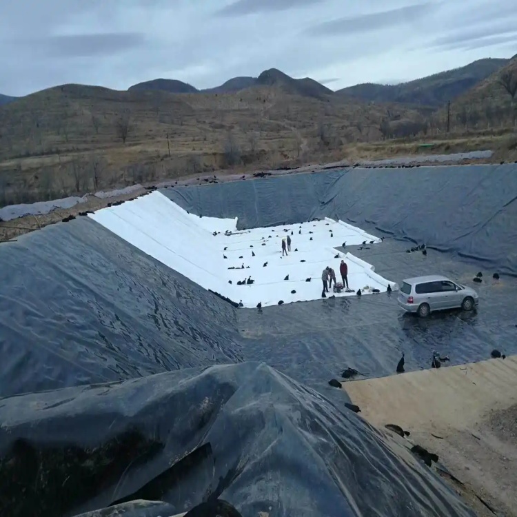 HDPE Dam Liner for Industrial Landfill Project Solution Capability Graphic Design Made