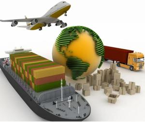 China Professional Sea Shipping Service From Shanghai Ningbo Qingdao Yantian Tianjin Xiamen wholesale