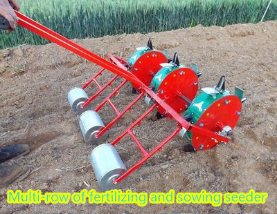 3 Rows Farming Tools Equipment 3 Wheels Vegetable Seed Sowing Machine
