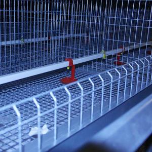 China High Temperature Resistant Baby Chick Cage Durable With Nipple Drinker wholesale