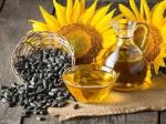 Factory Bulk wholesale Sunflower Seeds Kernel/Sunflower Seeds Best seller on