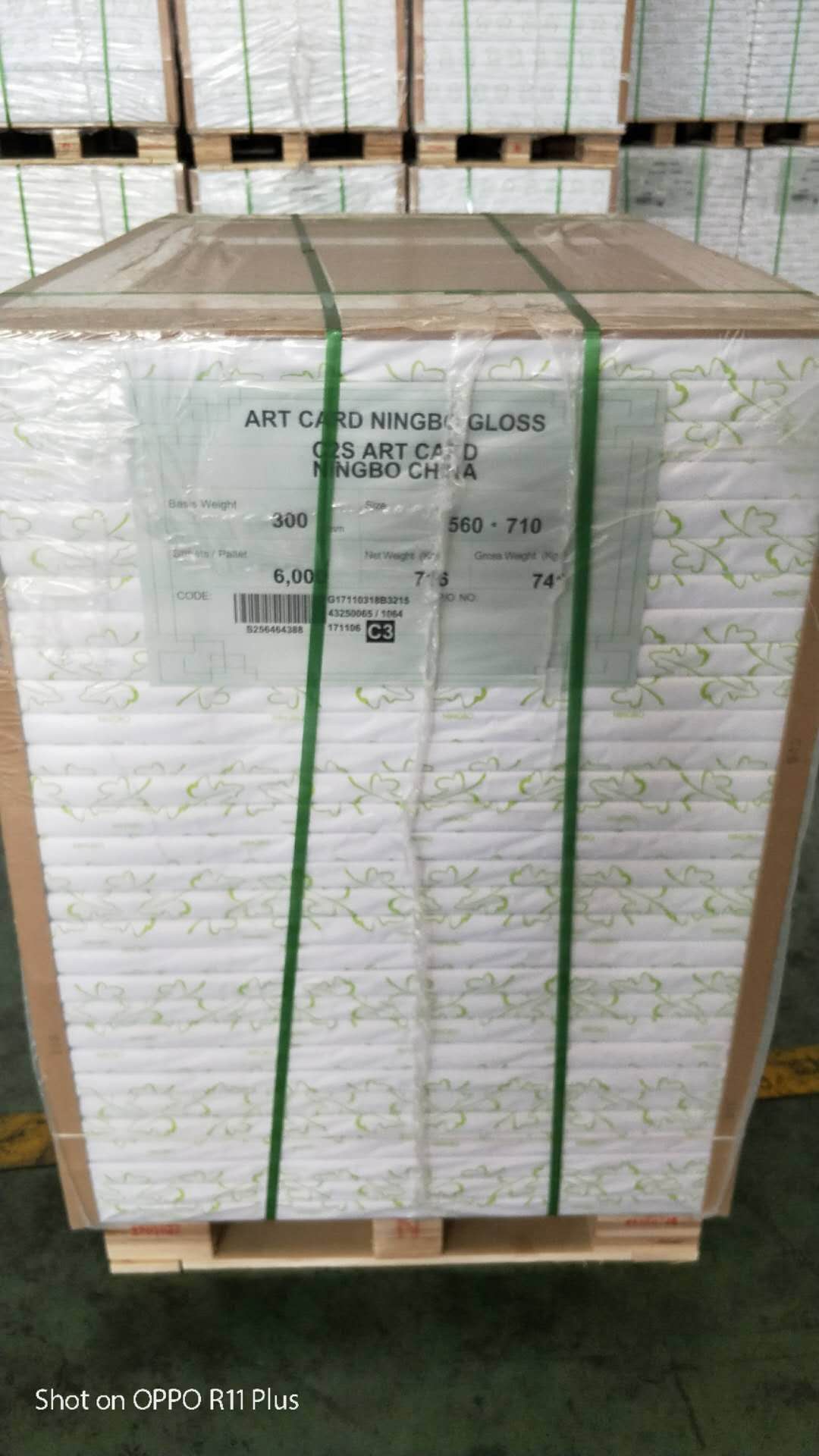 Customized White One Side Coated Ningbo Fold FBB/Ivory Board/C1S for Cosmetics Packaging