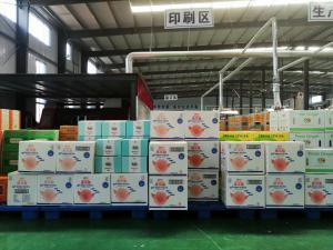 China Corrugated Paper Packing Box From Stone Paper wholesale
