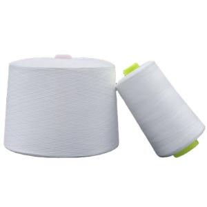 China Manufacture Produce Spun Polyester Yarn OEM Raw White 60/2 with Chemical Resistance wholesale